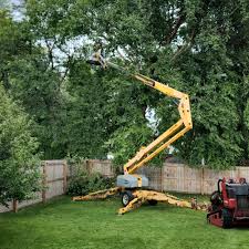 Best Artificial Turf Installation  in Farmington, UT
