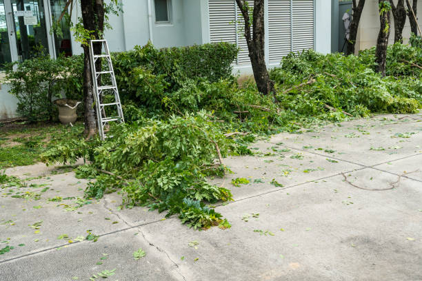  Farmington, UT Tree Removal Pros